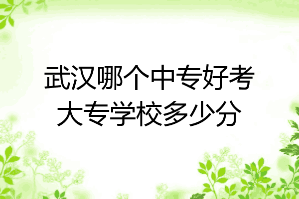 武汉哪个中专好考大专学校多少分