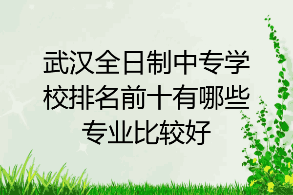 武汉全日制中专学校排名前十有哪些专业比较好