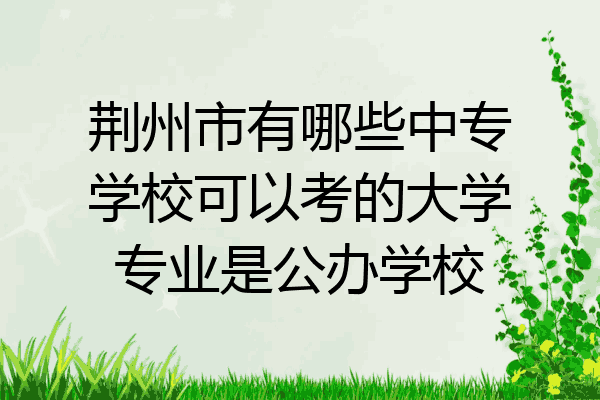 荆州市有哪些中专学校可以考的大学专业是公办学校