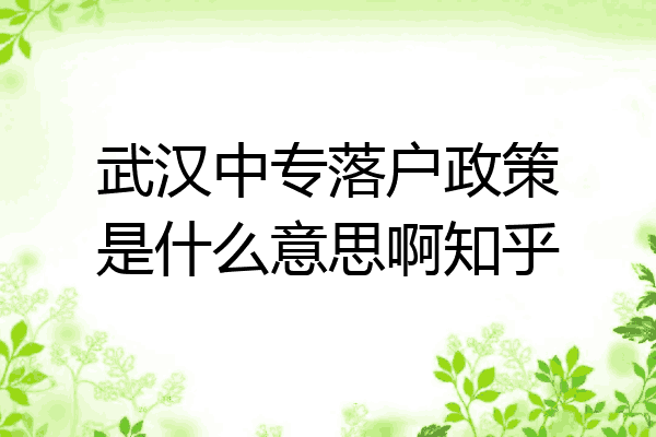武汉中专落户政策是什么意思啊知乎