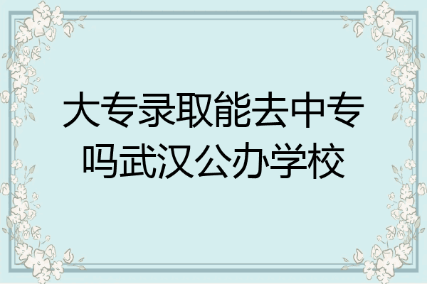 大专录取能去中专吗武汉公办学校