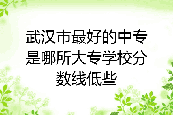 武汉市最好的中专是哪所大专学校分数线低些