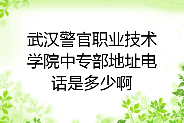 武汉警官职业技术学院中专部地址电话是多少啊