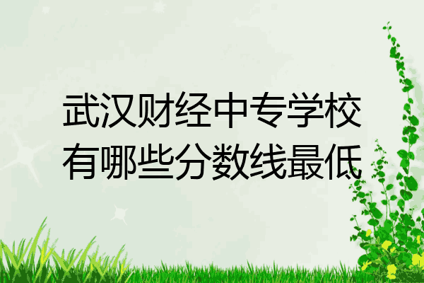 武汉财经中专学校有哪些分数线最低