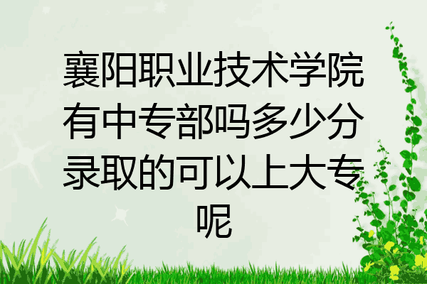 襄阳职业技术学院有中专部吗多少分录取的可以上大专呢