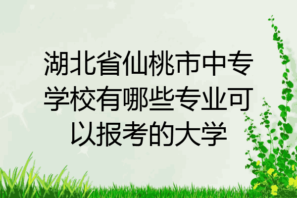 湖北省仙桃市中专学校有哪些专业可以报考的大学