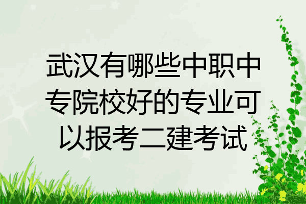 武汉有哪些中职中专院校好的专业可以报考二建考试