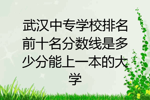 武汉中专学校排名前十名分数线是多少分能上一本的大学