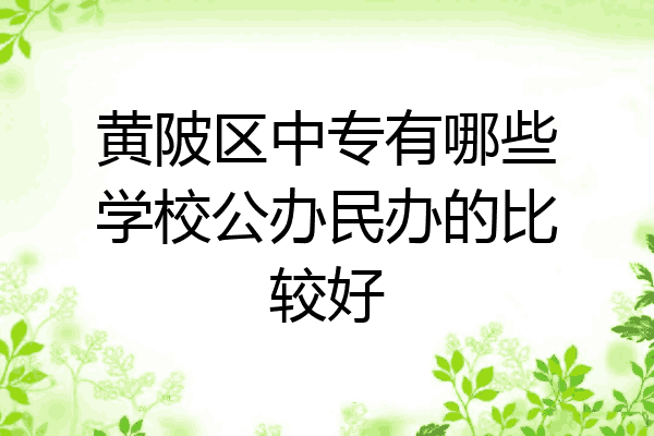 黄陂区中专有哪些学校公办民办的比较好