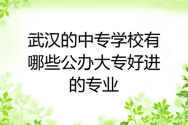 武汉的中专学校有哪些公办大专好进的专业