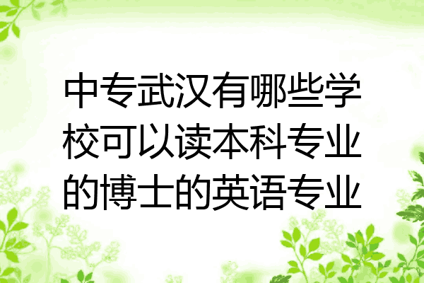 中专武汉有哪些学校可以读本科专业的博士的英语专业