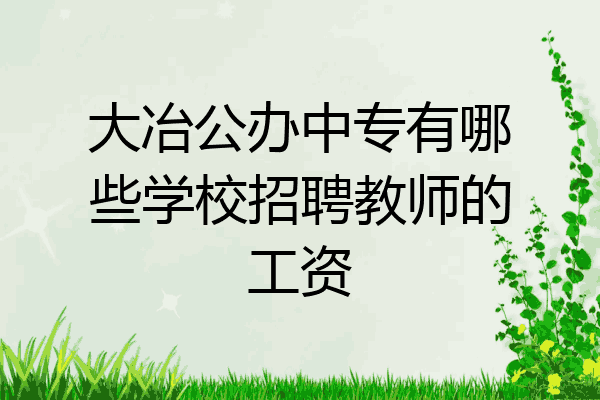大冶公办中专有哪些学校招聘教师的工资