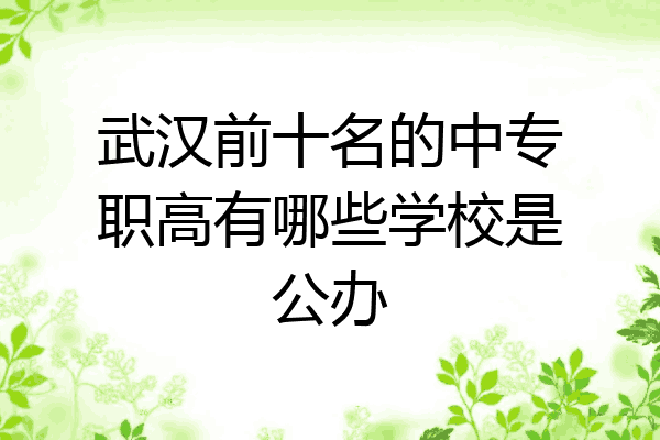 武汉前十名的中专职高有哪些学校是公办