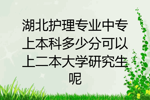 湖北护理专业中专上本科多少分可以上二本大学研究生呢