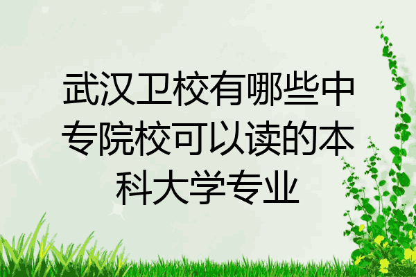 武汉卫校有哪些中专院校可以读的本科大学专业