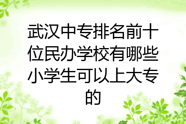 武汉中专排名前十位民办学校有哪些小学生可以上大专的