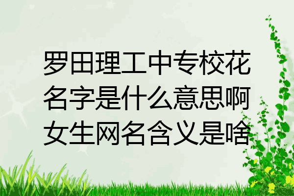 罗田理工中专校花名字是什么意思啊女生网名含义是啥