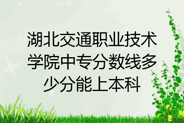 湖北交通职业技术学院中专分数线多少分能上本科