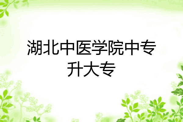 湖北中医学院中专升大专