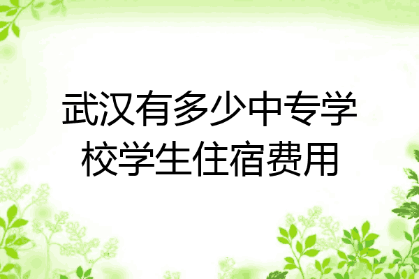 武汉有多少中专学校学生住宿费用