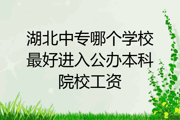 湖北中专哪个学校最好进入公办本科院校工资