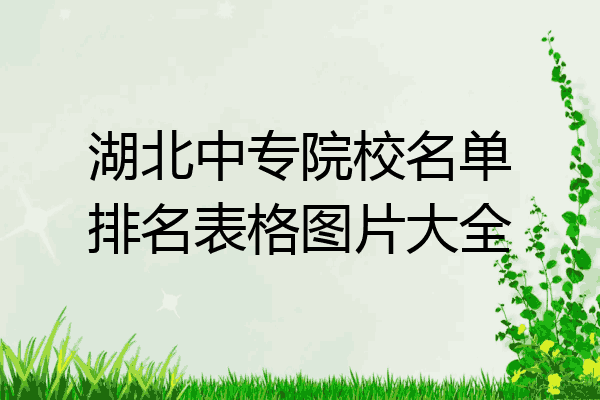 湖北中专院校名单排名表格图片大全