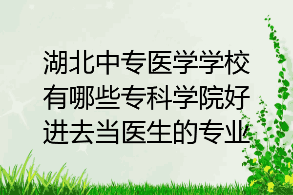 湖北中专医学学校有哪些专科学院好进去当医生的专业