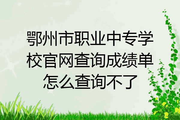 鄂州市职业中专学校官网查询成绩单怎么查询不了