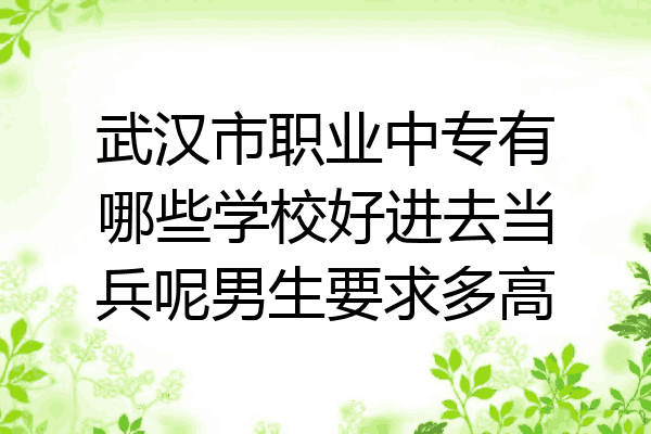 武汉市职业中专有哪些学校好进去当兵呢男生要求多高