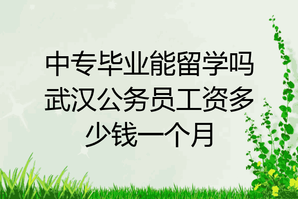 中专毕业能留学吗武汉公务员工资多少钱一个月