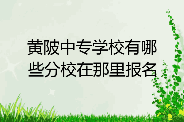 黄陂中专学校有哪些分校在那里报名