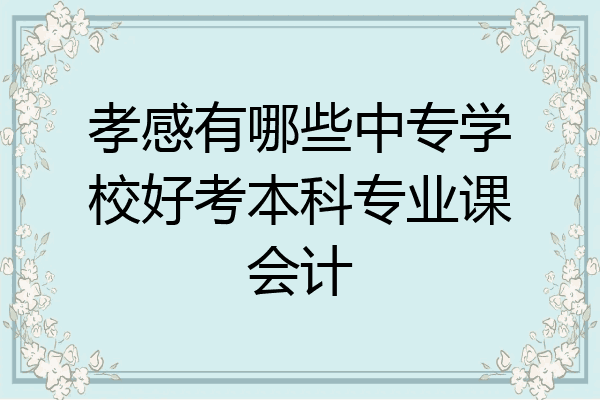 孝感有哪些中专学校好考本科专业课会计