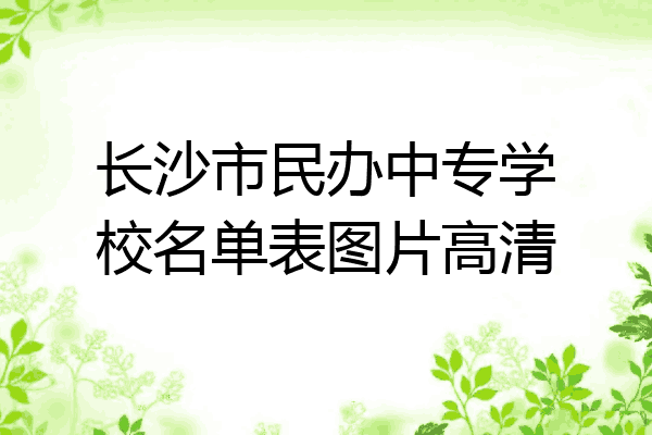 长沙市民办中专学校名单表图片高清