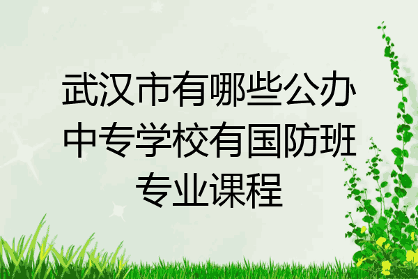 武汉市有哪些公办中专学校有国防班专业课程
