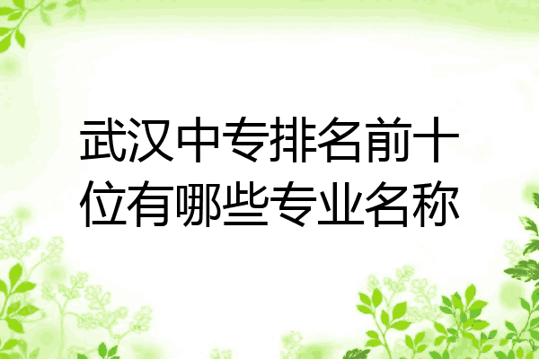 武汉中专排名前十位有哪些专业名称