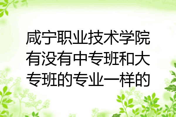 咸宁职业技术学院有没有中专班和大专班的专业一样的
