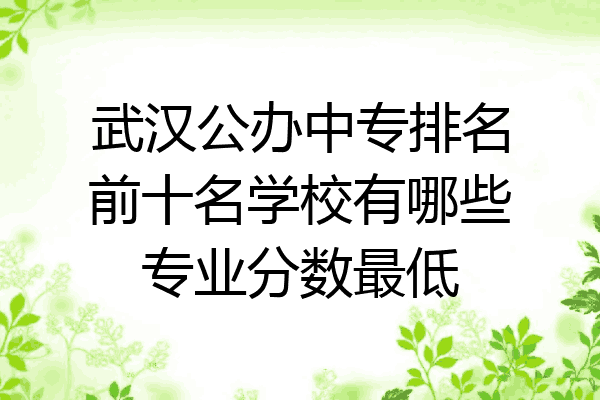 武汉公办中专排名前十名学校有哪些专业分数最低