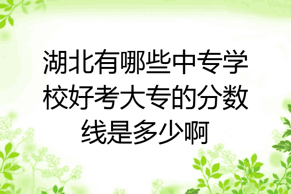 湖北有哪些中专学校好考大专的分数线是多少啊