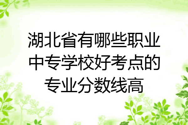 湖北省有哪些职业中专学校好考点的专业分数线高