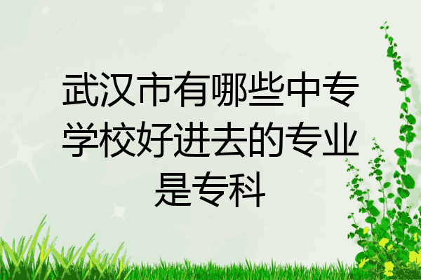 武汉市有哪些中专学校好进去的专业是专科