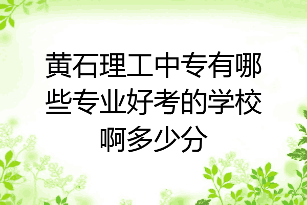 黄石理工中专有哪些专业好考的学校啊多少分