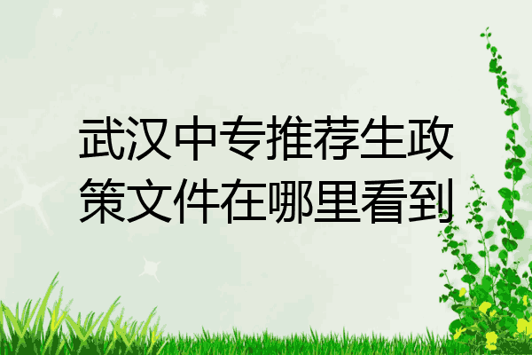 武汉中专推荐生政策文件在哪里看到