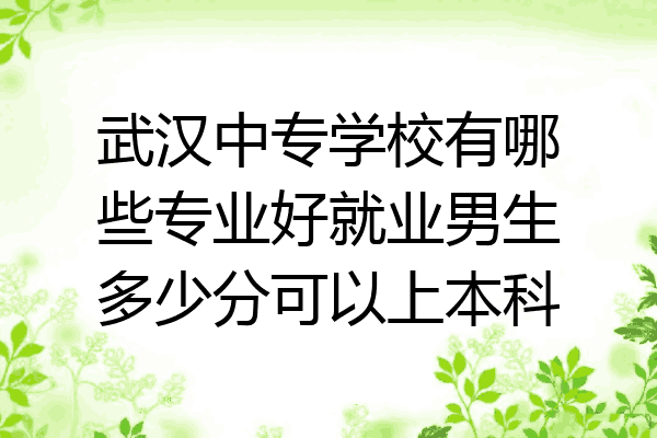 武汉中专学校有哪些专业好就业男生多少分可以上本科