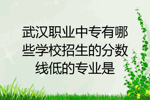 武汉职业中专有哪些学校招生的分数线低的专业是