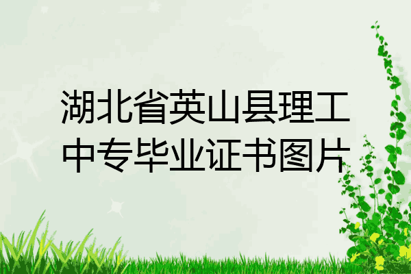 湖北省英山县理工中专毕业证书图片