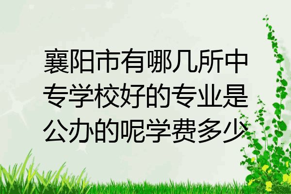 襄阳市有哪几所中专学校好的专业是公办的呢学费多少
