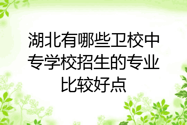 湖北有哪些卫校中专学校招生的专业比较好点