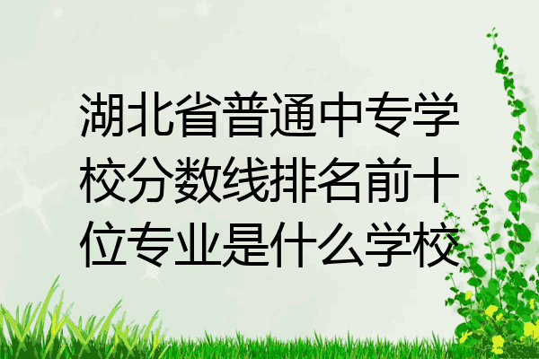 湖北省普通中专学校分数线排名前十位专业是什么学校