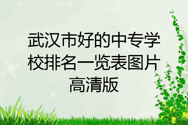 武汉市好的中专学校排名一览表图片高清版