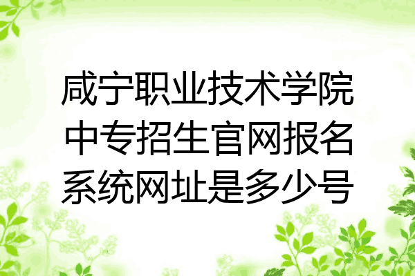咸宁职业技术学院中专招生官网报名系统网址是多少号